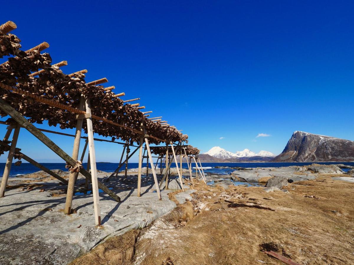 Lofoten Troll Point Bostad Exterior photo